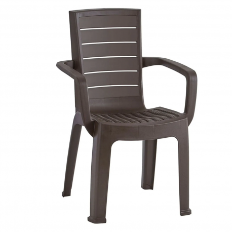 Silla Nova con Brazos Vanyplas Wengue