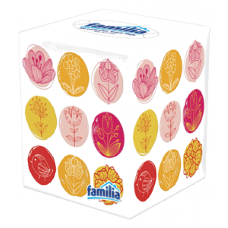 Familia Pañuelo Facial Cubo x 60 unidades
